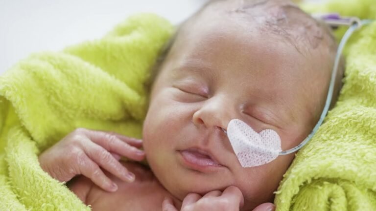 Projeto Meu Leitinho